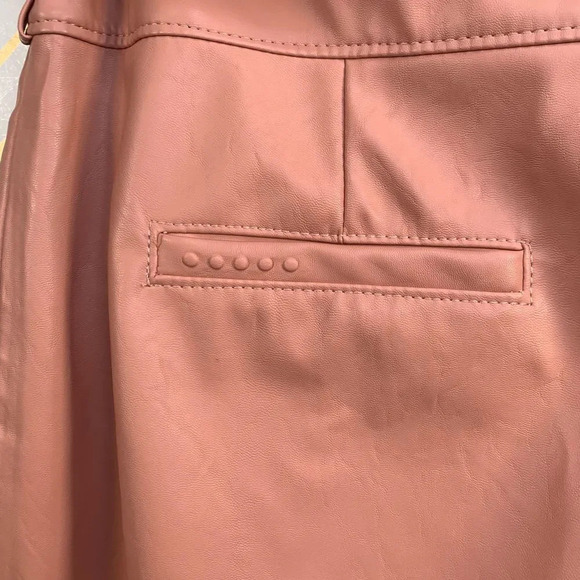 Anthropologie BlankNYC Chelsea Pants Faux Leather Pleated Tapered Pink Size 28 - Picture 7 of 9